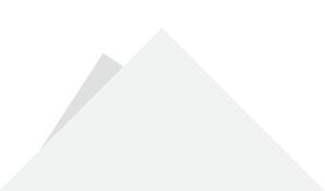 Kiralık forklift desen